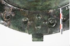 Foto von Bronzebreitrandschale (NHMW-PRAE-025600)